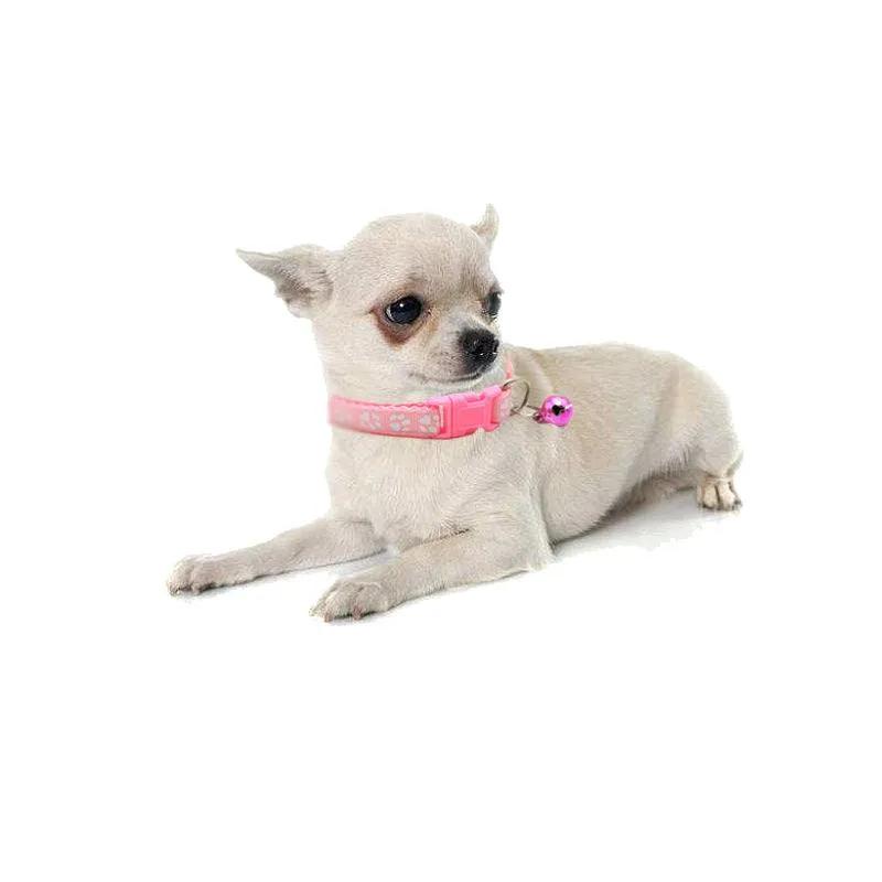 Adjustable Cute Walking Collar