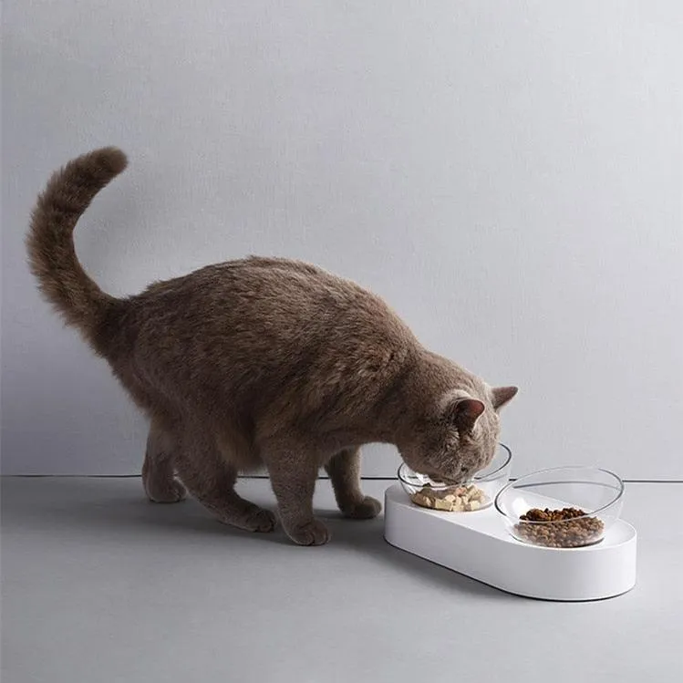 Adjustable Pet Feeding Dish