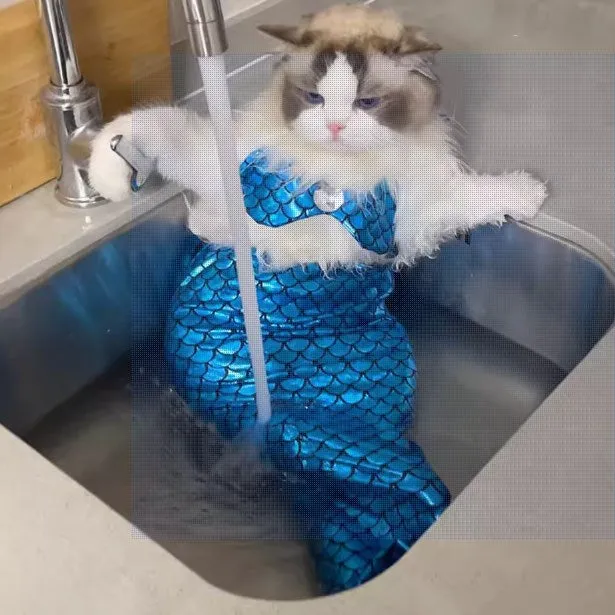 Mermaid Tail Pet Costume - Adorable Fishtail Outfit for Cats and Small Dogs