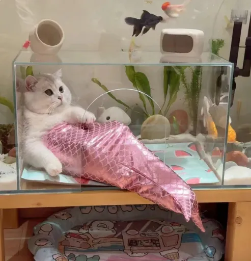Mermaid Tail Pet Costume - Adorable Fishtail Outfit for Cats and Small Dogs