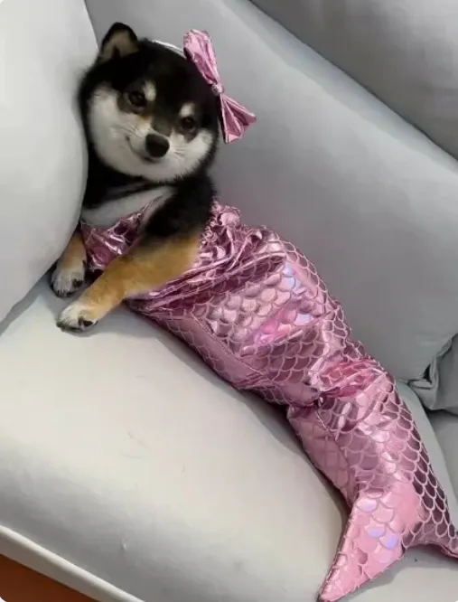 Mermaid Tail Pet Costume - Adorable Fishtail Outfit for Cats and Small Dogs