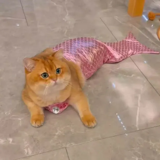 Mermaid Tail Pet Costume - Adorable Fishtail Outfit for Cats and Small Dogs