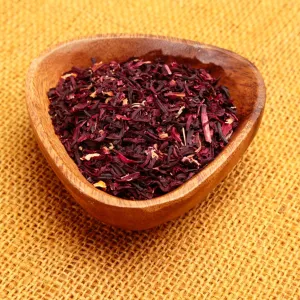 Tropical Hibiscus Flowers (SUMMER SEASONAL FAVORITE)